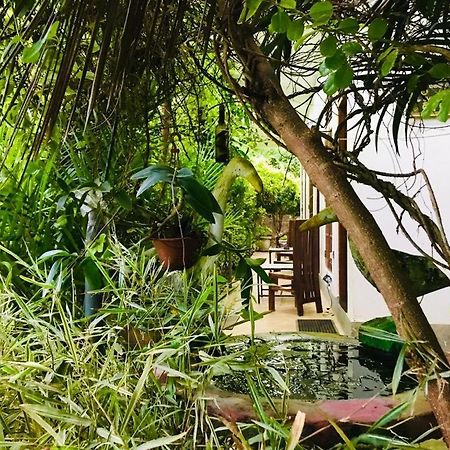 Green Jade Inn Mirissa Esterno foto